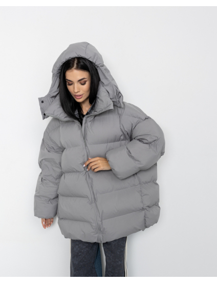 Картинка Пуховик сірий